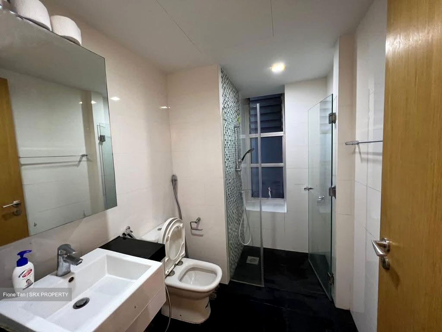 Oasis @ Elias (D18), Condominium #627510621